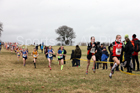 Girls under-13s, 2018 Northern Cross Country Champs., Harewood House, Leeds. Photo: David T. Hewitson/Sports for All Pics